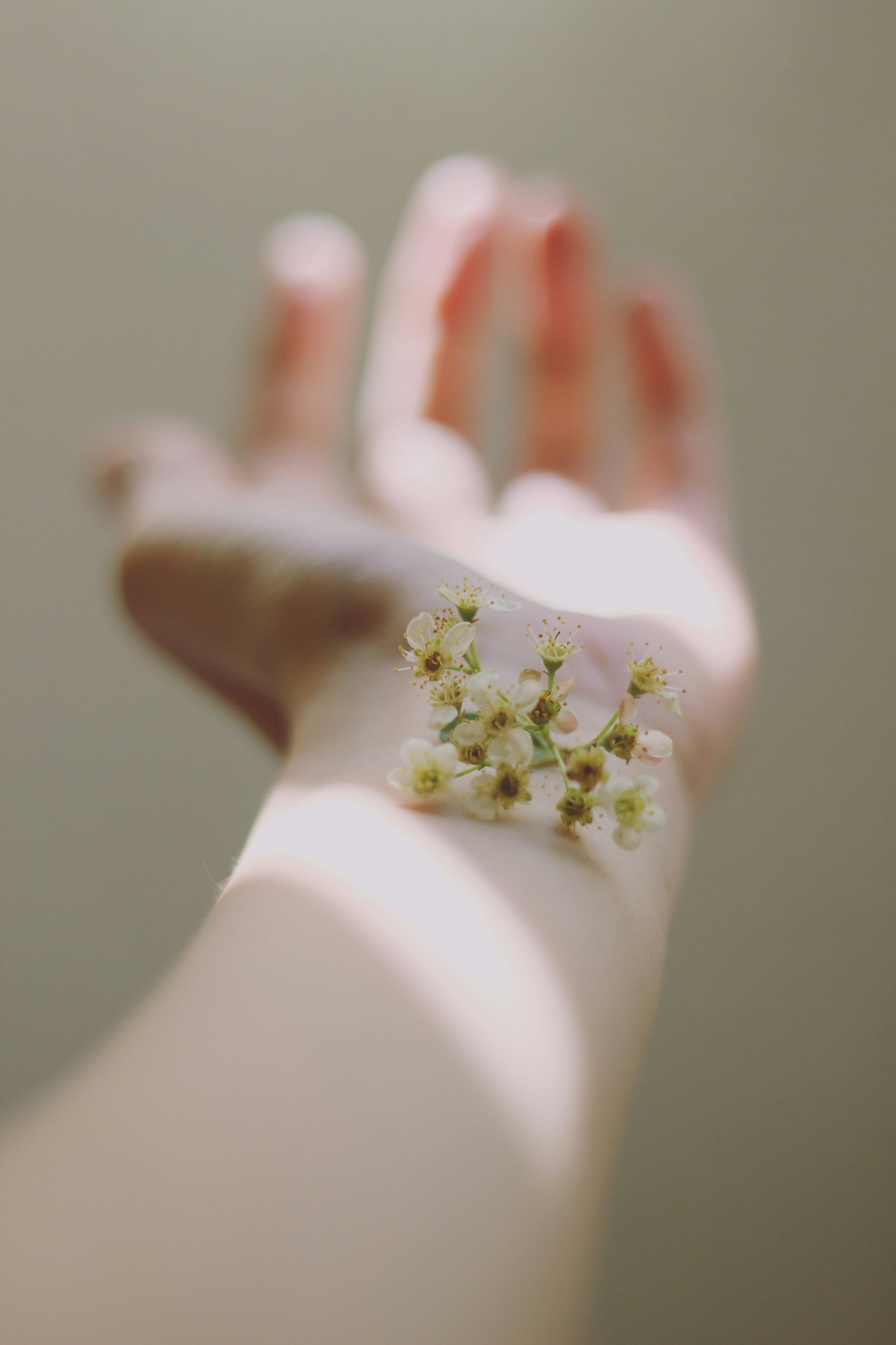 Pollen season is here, and your skin feels it too
