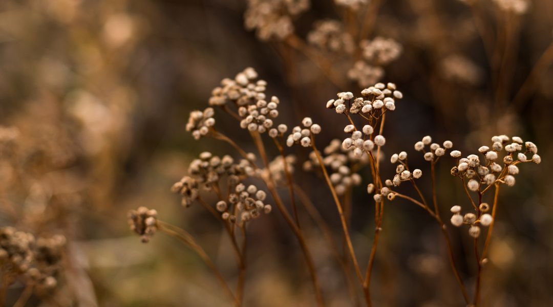 Je huid in de herfst, wat moet je doen ter bescherming