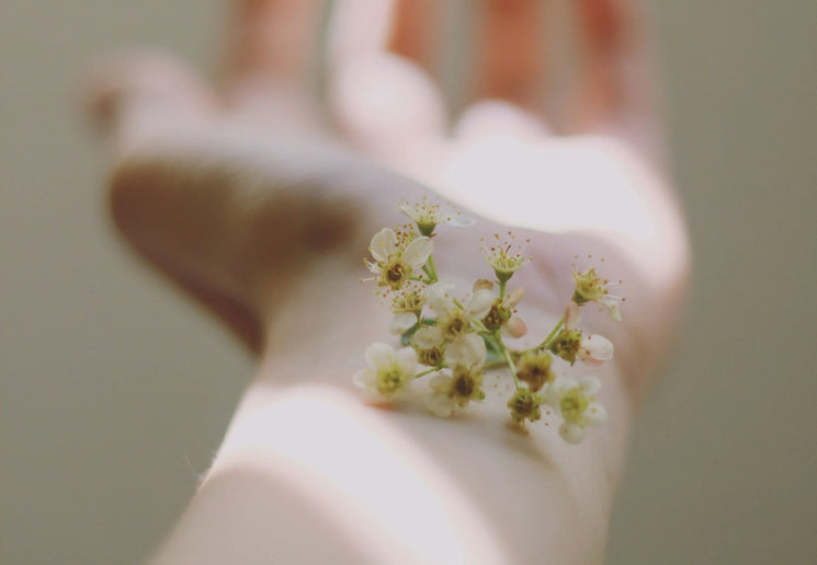 Blog-Pollen_season